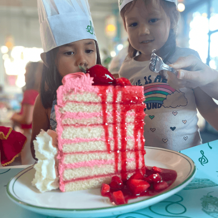 Sadelle's Big Pink Cake